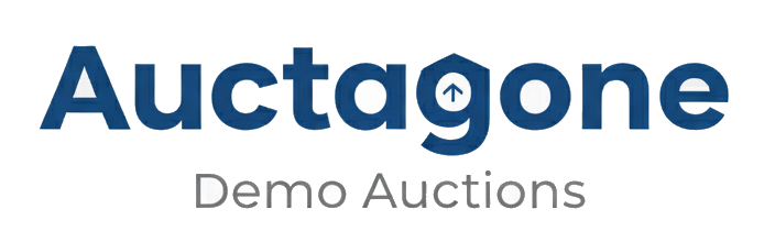 Auctagone Auctions